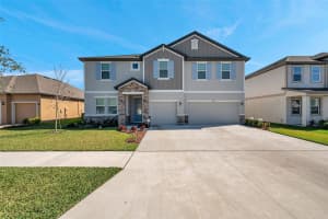 8816 MUGNAI STREET, RIVERVIEW, FL 33578 - MLS#MFRTB8352311