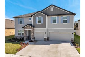 8816 MUGNAI STREET, RIVERVIEW, FL 33578 - MLS#MFRTB8352311