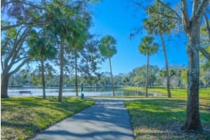 3367 CRYSTAL COURT, PALM HARBOR, FL 34685 - MLS#MFRTB8352350
