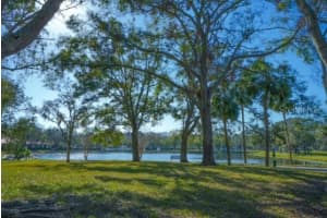 3367 CRYSTAL COURT, PALM HARBOR, FL 34685 - MLS#MFRTB8352350