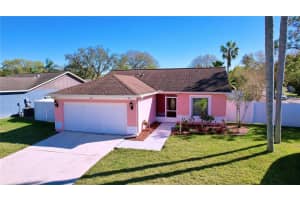 11116 BLOOMINGTON DRIVE, TAMPA, FL 33635 Sold 03/26/25