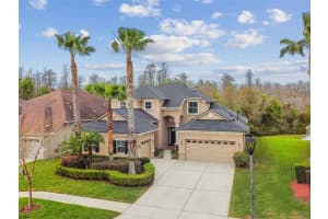 3339 DIAMOND FALLS CIRCLE, LAND O LAKES, FL 34638 Sold 04/28/25