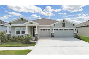 6115 HIDDEN BRANCH DRIVE, APOLLO BEACH, FL 33572 Sold 05/30/25