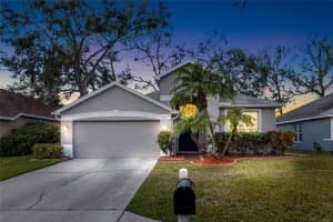 4717 DUNNIE DRIVE, TAMPA, FL 33614 Sold 03/13/25