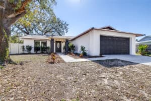 705 CLIMATE DRIVE, BRANDON, FL 33511 Sold 03/31/25