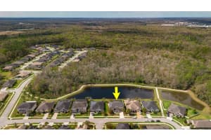 1723 VIRGINIA WILLOW DRIVE, WESLEY CHAPEL, FL 33544 Sold 04/04/25