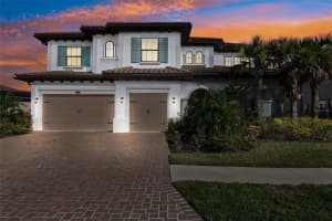 28565 PICANA LANE, WESLEY CHAPEL, FL 33543 Sold 04/04/25