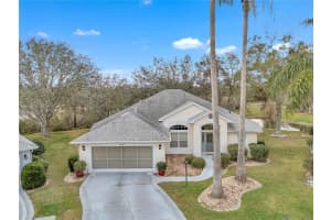 21505 CASTLE VIEW COURT, LEESBURG, FL 34748 Sold 05/21/25