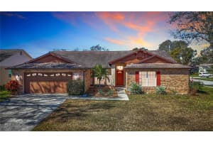 3014 STARMOUNT DRIVE, VALRICO, FL 33596 Sold 04/25/25