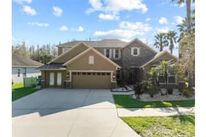 19238 Climbing Aster Dr, TAMPA