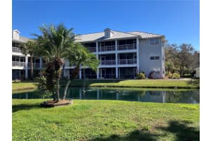 2210 Vista Del Sol Cir ##519, LUTZ