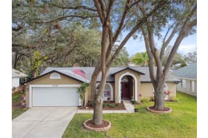 1337 GANGPLANK DRIVE, VALRICO, FL 33594 Sold 04/07/25
