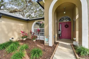 1337 GANGPLANK DRIVE, VALRICO, FL 33594 Sold 04/07/25