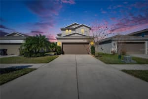 10421 LAGUNA PLAINS DRIVE, RIVERVIEW, FL 33578 Sold 04/04/25