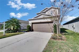 10421 LAGUNA PLAINS DRIVE, RIVERVIEW, FL 33578 Sold 04/04/25