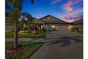 16542 DELIA STREET, WIMAUMA, FL 33598 Sold 04/22/25