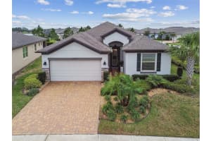 19477 COASTAL SHORE TERRACE, LAND O LAKES, FL 34638 Sold 04/14/25