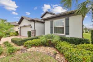 19477 COASTAL SHORE TERRACE, LAND O LAKES, FL 34638 Sold 04/14/25
