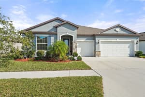 10920 GREEN HARVEST DRIVE, RIVERVIEW, FL 33578 Sold 04/10/25