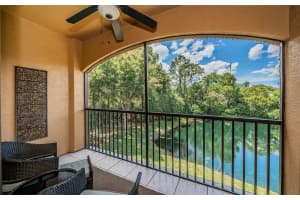 2138 Chianti Pl #142, PALM HARBOR