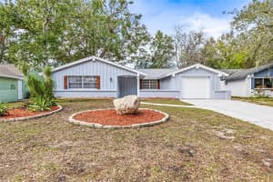 12613 BLACKBERRY ROW, HUDSON, FL 34667 Sold 05/01/25
