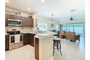 20462 NEEDLETREE DRIVE, TAMPA, FL 33647 Sold 04/03/25
