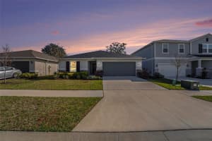 9565 FLATWOOD HAMMOCK PLACE, SEFFNER, FL 33584 Sold 04/10/25