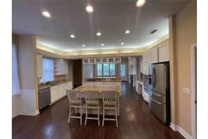4425 MERRICK RUN LANE, VALRICO, FL 33596 Sold 05/23/25
