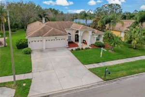 18521 BITTERN AVENUE, LUTZ, FL 33558 Sold 05/14/25
