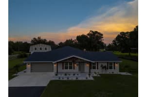11112 BROWNING ROAD, LITHIA, FL 33547 Sold 03/24/25