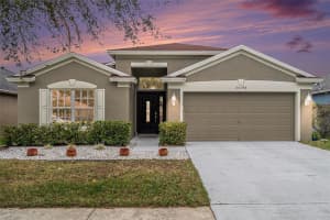 25348 FLYING EBONY LANE, WESLEY CHAPEL, FL 33544 Sold 04/11/25