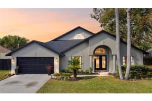 15004 ELMCREST STREET, ODESSA, FL 33556 Sold 04/08/25