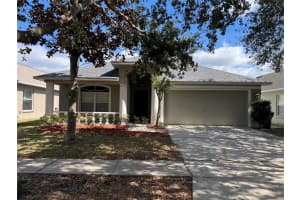 11146 RODEO LANE, RIVERVIEW, FL 33579 Sold 04/09/25