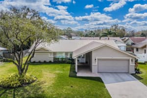 3350 BRIAN ROAD, PALM HARBOR, FL 34685 - MLS#MFRTB8353427