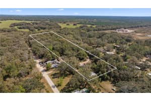 20238 SHETLAND LANE, SPRING HILL, FL 34610 - MLS#MFRTB8353440