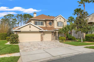 23425 VISTAMAR COURT, LAND O LAKES, FL 34639 Sold 04/01/25