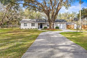 18802 CARR DRIVE, LUTZ, FL 33559 Sold 04/11/25
