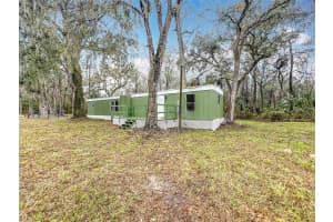 13026 WILLISTON ROAD, MICANOPY, FL 32667 - MLS#MFRTB8353573