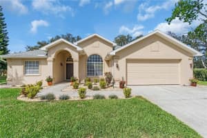 8233 DANUBIAN PLACE, TRINITY, FL 34655 Sold 04/01/25