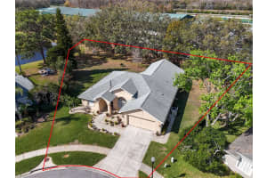 8233 DANUBIAN PLACE, TRINITY, FL 34655 Sold 04/01/25