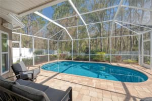 12956 ROYAL GEORGE AVENUE, ODESSA, FL 33556 Sold 05/14/25