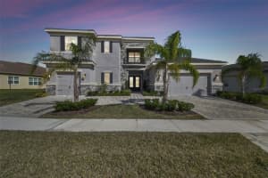 3280 JUNIPER SPRINGS STREET, WESLEY CHAPEL, FL 33543 - MLS#MFRTB8353877