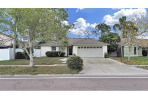 13613 FAWN RIDGE BOULEVARD, TAMPA, FL 33626 Sold 03/27/25