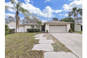 13613 FAWN RIDGE BOULEVARD, TAMPA, FL 33626 Sold 03/27/25