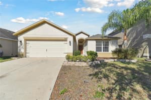 20426 AUTUMN FERN AVENUE, TAMPA, FL 33647 Sold 04/09/25