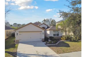 20426 AUTUMN FERN AVENUE, TAMPA, FL 33647 Sold 04/09/25