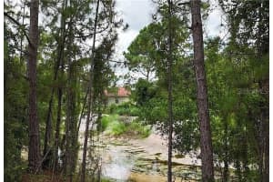 371 CANAL WAY, LAKE PLACID, FL 33852 - MLS#MFRTB8354073