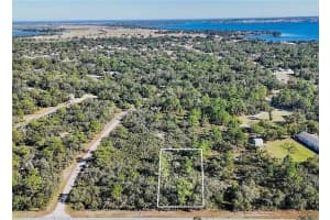 919 WILDFLOWER STREET, LAKE PLACID, FL 33852 - MLS#MFRTB8354078