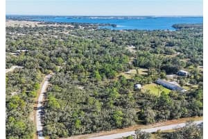 919 WILDFLOWER STREET, LAKE PLACID, FL 33852 - MLS#MFRTB8354078