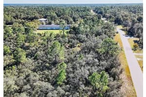 919 WILDFLOWER STREET, LAKE PLACID, FL 33852 - MLS#MFRTB8354078